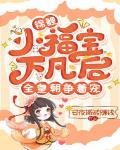 锦鲤小福宝下凡后,全皇朝争着宠