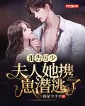 报告厉少,夫人她携崽潜逃了