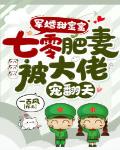 军婚甜蜜蜜:七零肥妻被大佬宠翻天