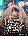 离婚后,易总天天求复婚