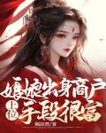 娘娘出身商户，上位手段很富