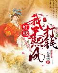 红楼:我,王熙凤,打钱!