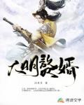大明赘婿