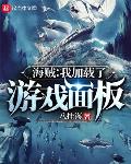 海贼:我加载了游戏面板